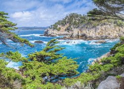 Rezerwat przyrody Point Lobos w Kalifornii