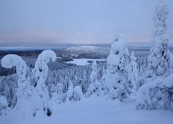 Zima, Finlandia, Laponia, Rezerwat, Valtavaara, Drzewa, Śnieg, Góry