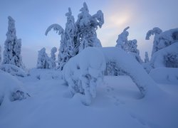 Rezerwat Valtavaara zimą w Finlandii