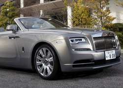 Rolls-Royce Dawn The Kita