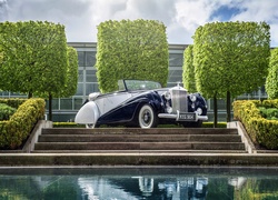 Rolls Royce Silver Dawn rocznik 1952