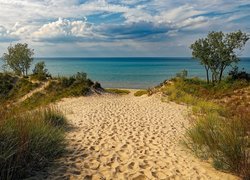 Jezioro Michigan, Plaża, Piasek, Trawa, Drzewa, Stany Zjednoczone