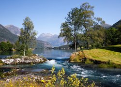 Góry, Drzewa, Kamienie, Rzeka Stryneelva, Gmina Stryn, Norwegia