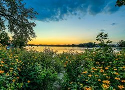 Stany Zjednoczone, Stan Minnesota, Miasto Minnetonka, Park Grays Bay Dam, Zatoka Grays Bay, Jezioro, Zachód Słońca