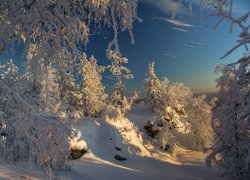 Rosyjski Park Narodowy Taganaj w zimowej szacie