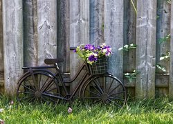 Rower z koszem kwiatów