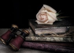 Róża i lornetka na książkach