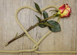 Róża na sercu ze sznurka