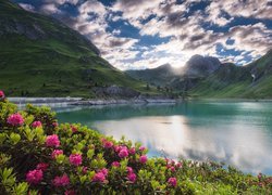 Góry, Jezioro, Chmury, Kwiaty, Różanecznik
