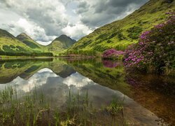 Jezioro, Lochan Urr, Góry, Krzewy, Różaneczniki, Szkocja