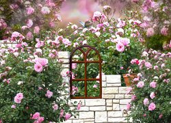 Ogród, Róże, Mur, Okno, Grafika