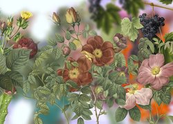 Kwiaty, Róże, Winogrono, Grafika