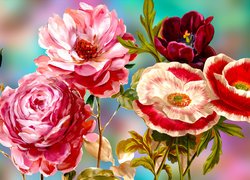 Kwiaty, Róże, Maki, Tulipan, Grafika