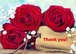 Róże i napis Thank you