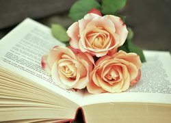 Róże na otwartej książce