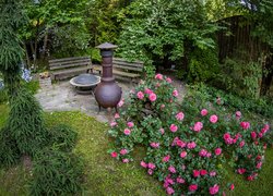 Róże obok kącika do grilla w ogrodzie