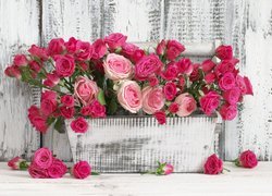 Kwiaty, Róże, Drewniana, Donica, Skrzynka, Deski