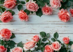 Kwiaty, Róże, Drewniane, Deski