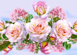 Różowe, Kwiaty, Róże, Grafika 2D