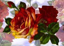 Grafika, Róże, Rozwinięta, Róża, Kolorowe tło