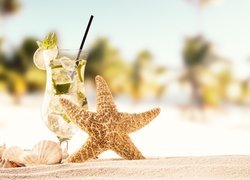 Rozgwiazda i muszelki na piasku obok drinka