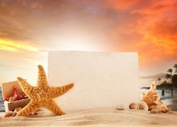 Rozgwiazda i muszelki wokół kartki papieru w piasku