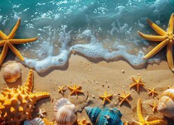 Rozgwiazdy i kolorowe muszelki na morskiej plaży