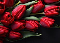 Rozkwitające czerwone tulipany na czarnym tle