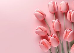 Rozkwitające różowe tulipany na różowym tle