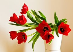Rozkwitnięte czerwone tulipany w wazonie