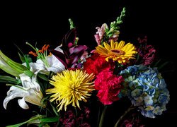 Bukiet, Kwiaty, Lilie, Hortensje, Gerbera, Aster