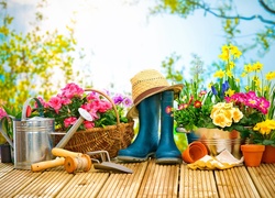 Różnorodne wiosenne kwiaty i akcesoria ogrodnika
