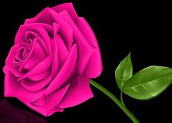 Różowa róża w 2D
