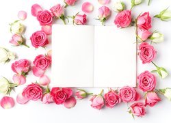 Różowe i białe róże ułożone wokół kartki