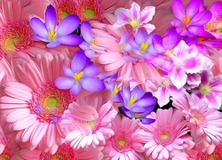 Różowe i fioletowe kwiaty w grafice fractalius