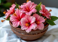 Różowe kwiaty hibiskusa w misce