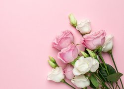 Różowe róże i biała eustoma na różowym tle
