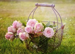 Różowe róże w drucianym koszyku