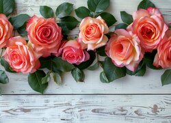 Różowe róże z liśćmi na deskach