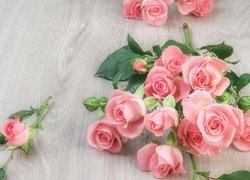 Różowe róże z pąkami na deskach