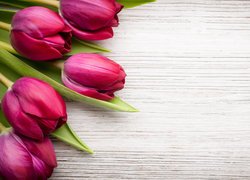 Różowe tulipany na drewnie