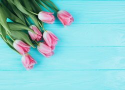 Różowe tulipany na niebieskich deskach