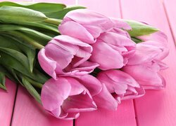 Różowe tulipany na różowych deskach