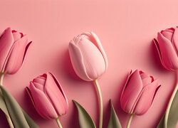 Różowe tulipany na różowym tle