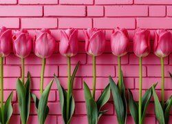Różowe tulipany na tle ceglanej ściany
