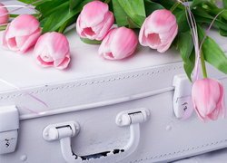 Biała, Walizka, Różowe, Tulipany
