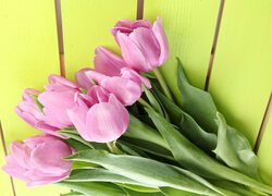 Różowe tulipany na żółtych deskach