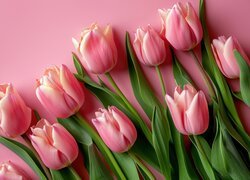 Różowe, Tulipany, Tło