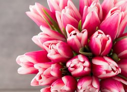 Kwiaty, Bukiet, Biało-różowe, Tulipany