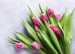 Różowo-białe tulipany na jasnym tle
